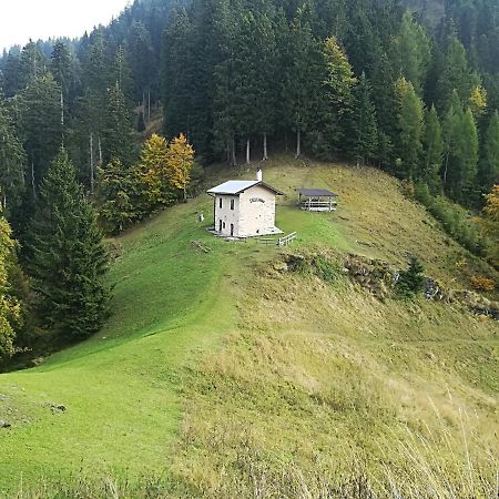 B&B Ai Pini Tiarno di Sopra Zewnętrze zdjęcie