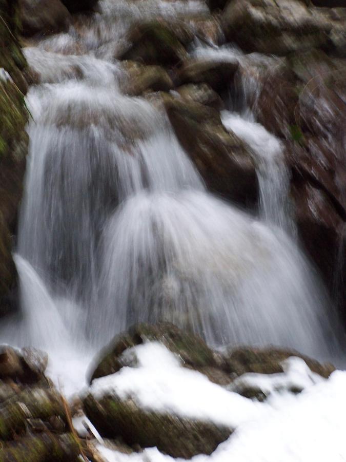 B&B Ai Pini Tiarno di Sopra Zewnętrze zdjęcie