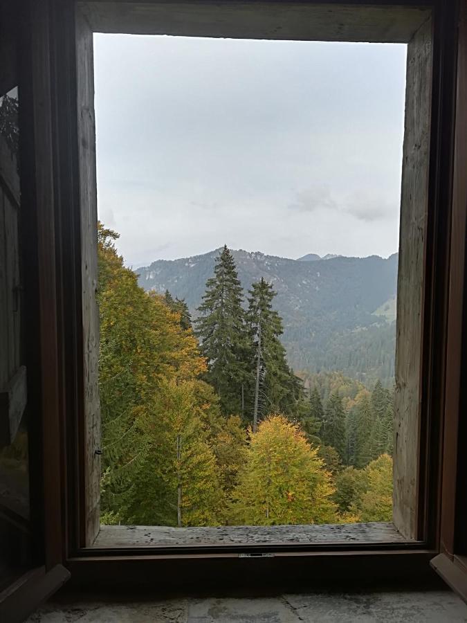 B&B Ai Pini Tiarno di Sopra Zewnętrze zdjęcie